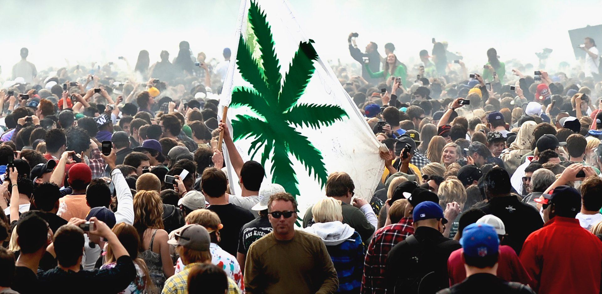 weed