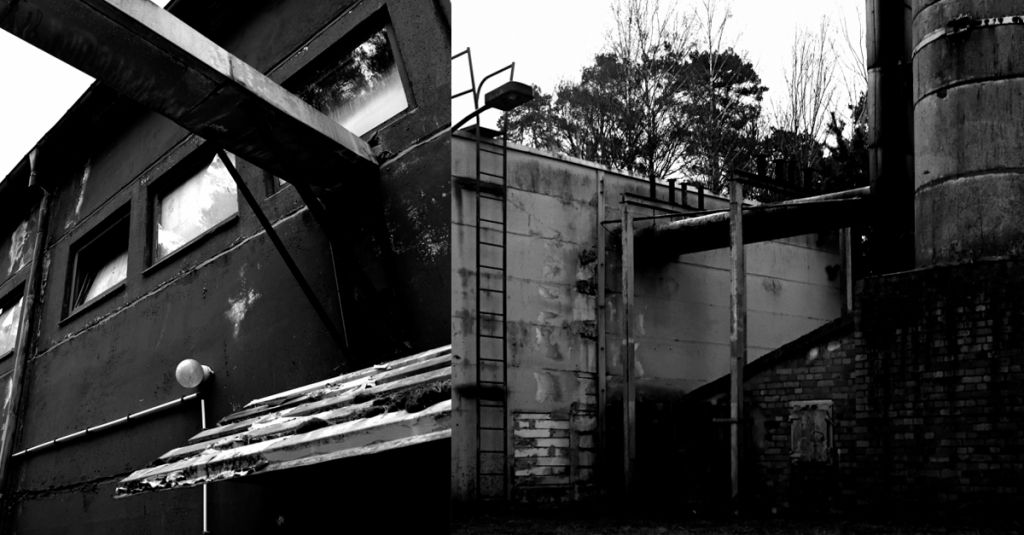 7001-festival-couv