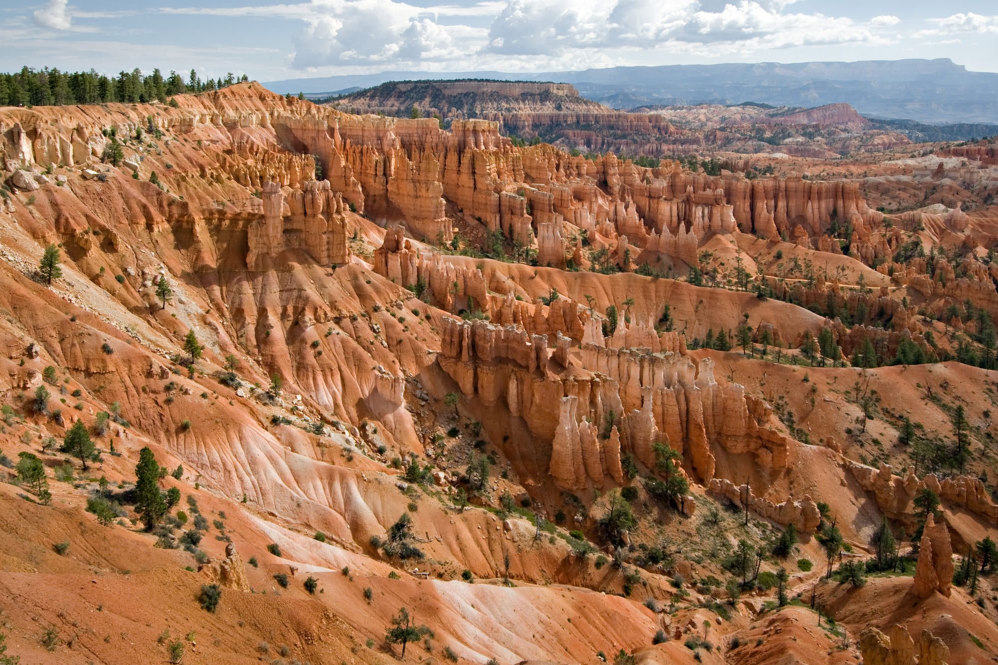etats unis