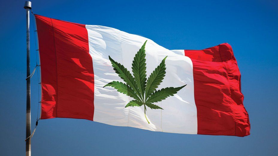 cannabis