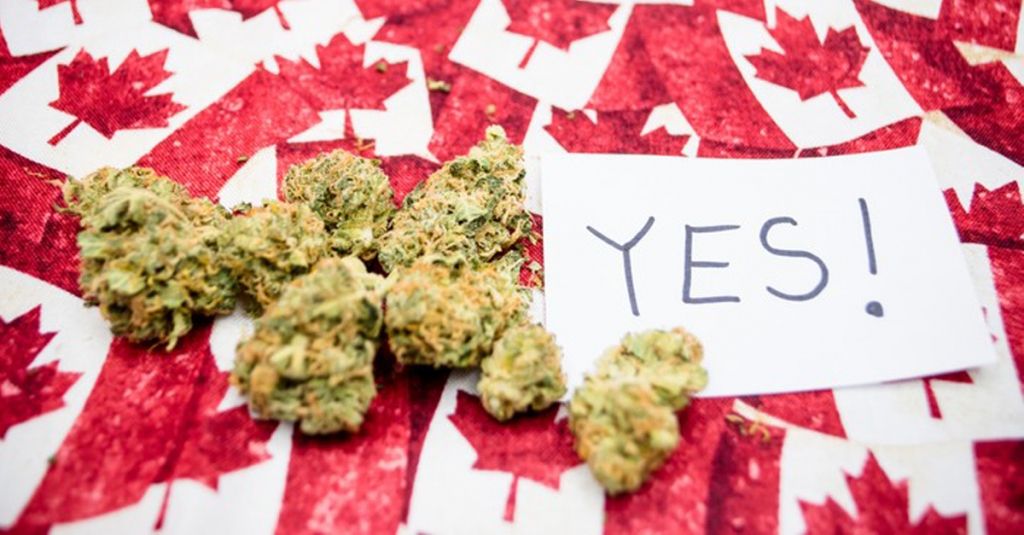 cannabis-couv