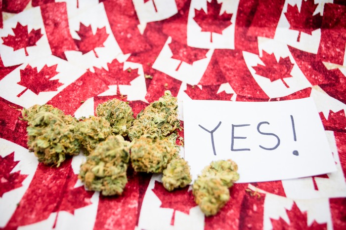 cannabis