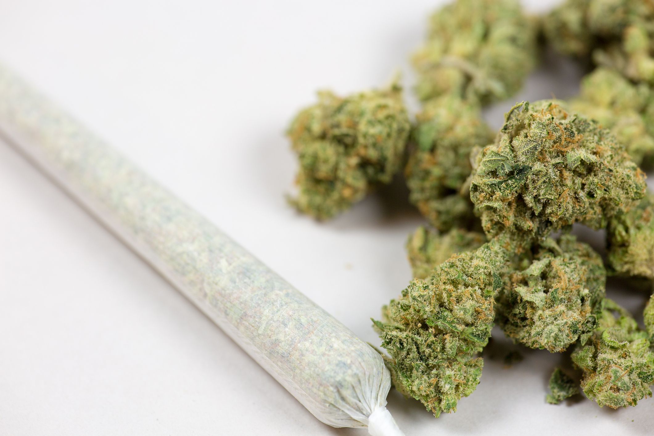 cannabis