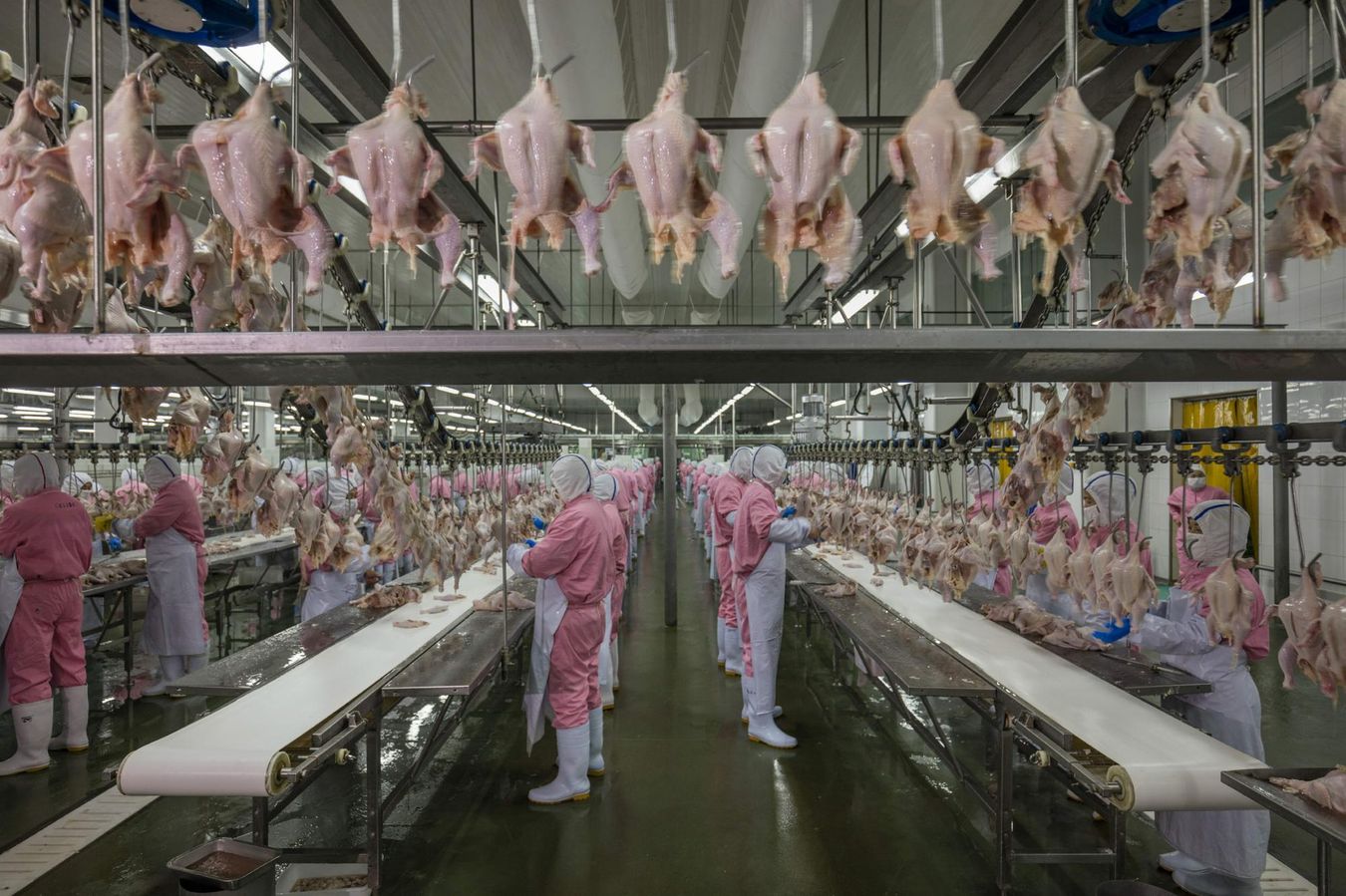 big-food3