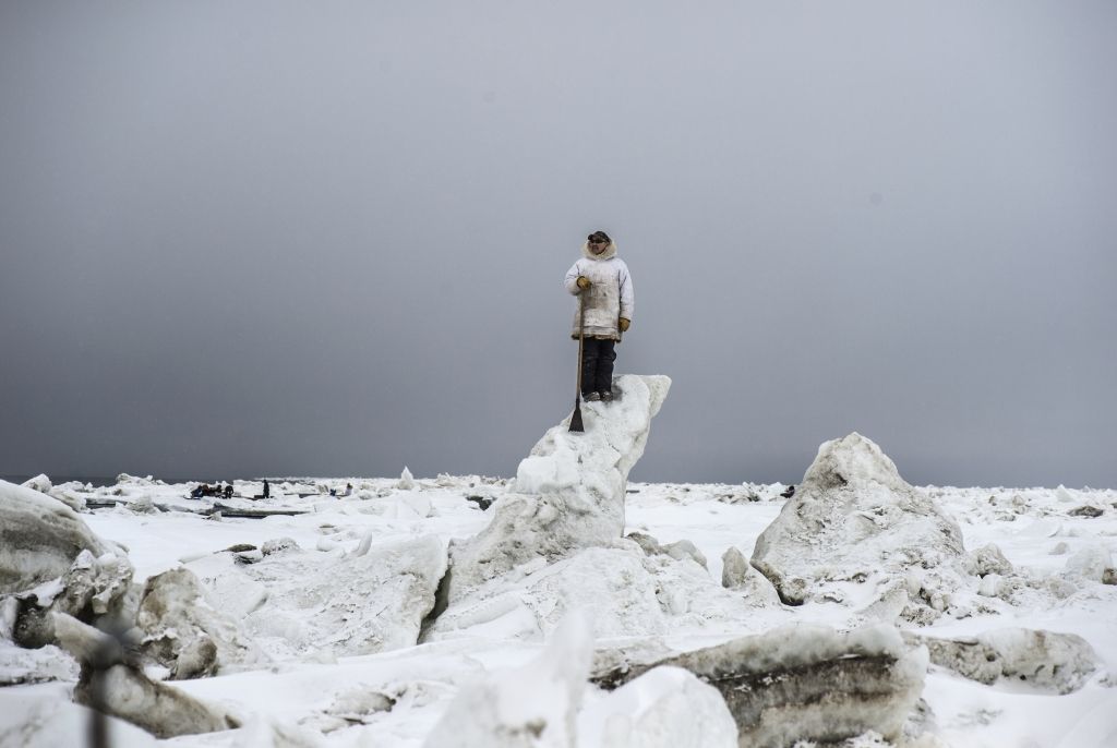 Arctic2
