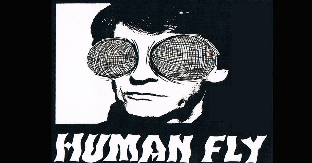 human fly couv