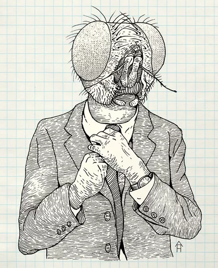 human fly5