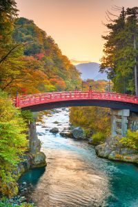 nikko