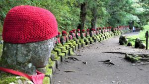 nikko