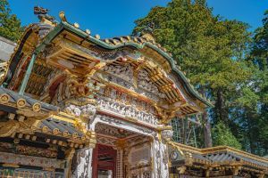 nikko