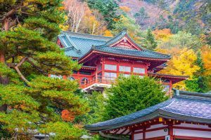 nikko