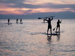 paddle