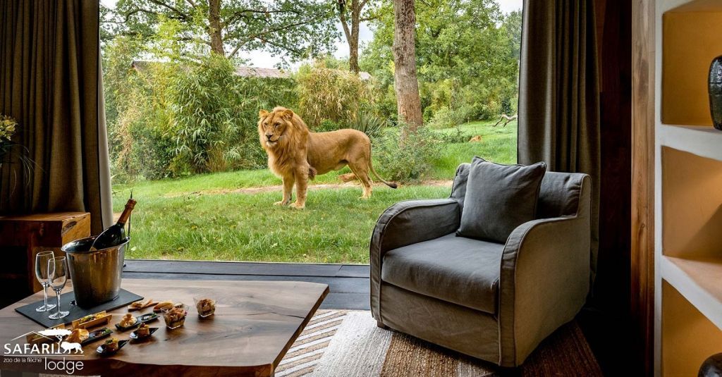 safari lodge