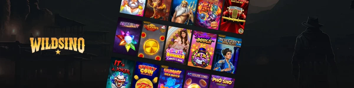 découvrir wildsino casino